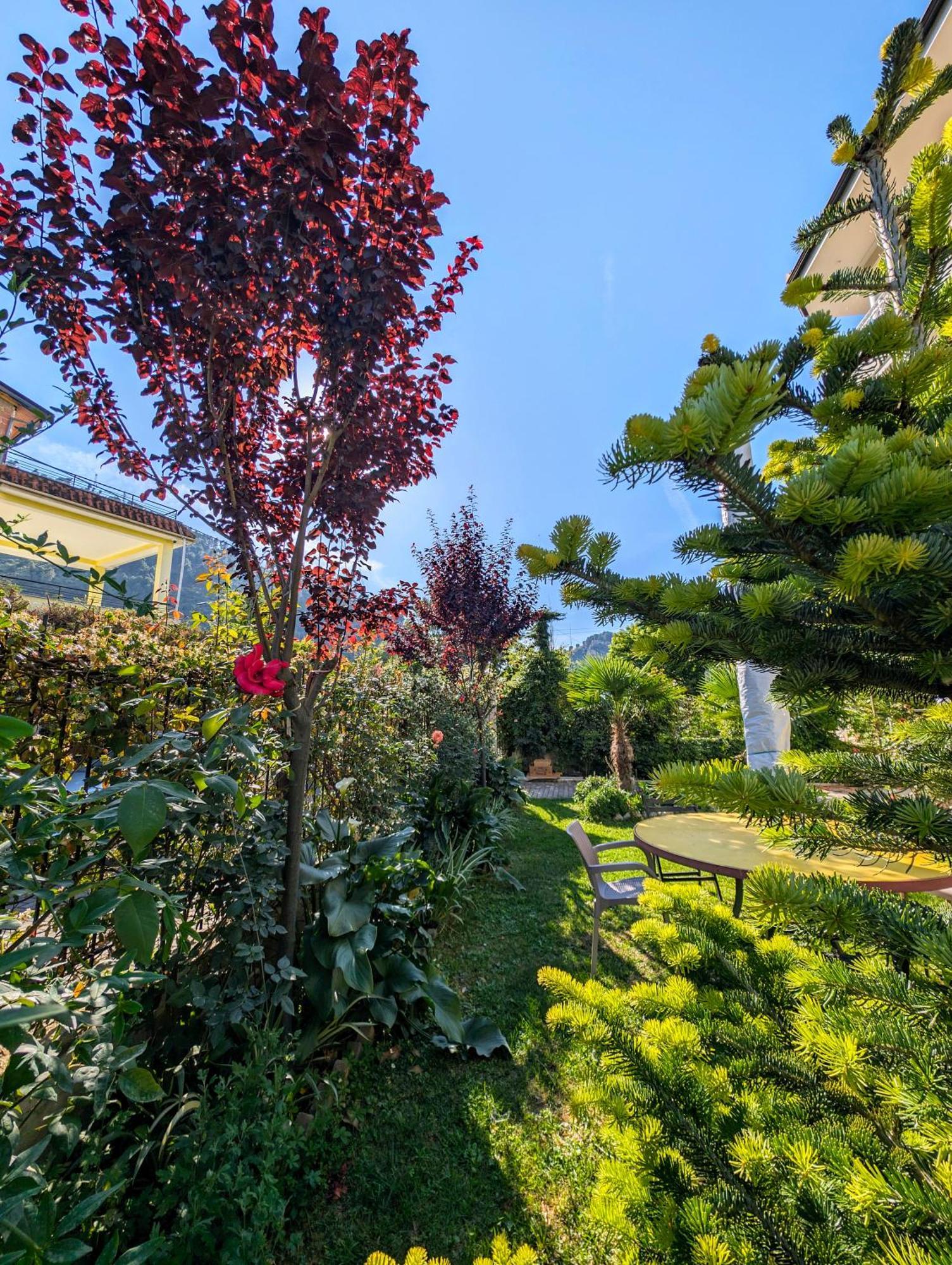 Apartment With Garden And Veranda Berat